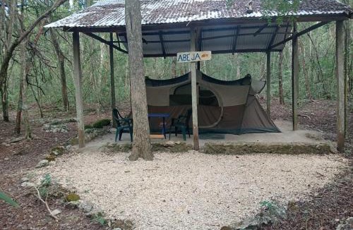 Calakmul Other | Campamento Yaax Che en Calakmul