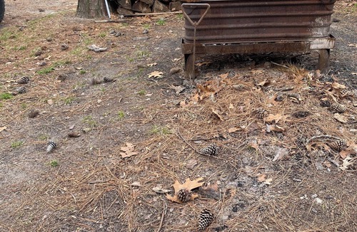 Greenbush Cabin | Campfire Bliss at the Beach Eastern Shore Virginia Cottage Getaway