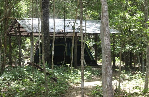 Calakmul Other | Camping ∙ 8 guests