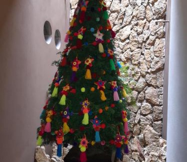 Palenque Bed & Breakfast | Casa 5 Bed & Breakfast