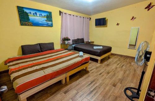 FERROCARRIL Apartment | Casa Alixel Hotel Boutique
