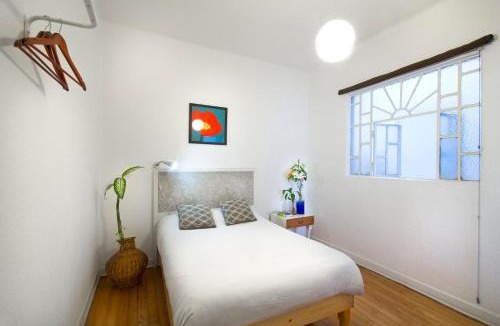 Downtown Mexico City House | Casa Azul for groups since 4 till 30 persons