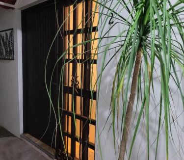 Calzada Madero Apartment | Casa B & L Céntrico Departamento