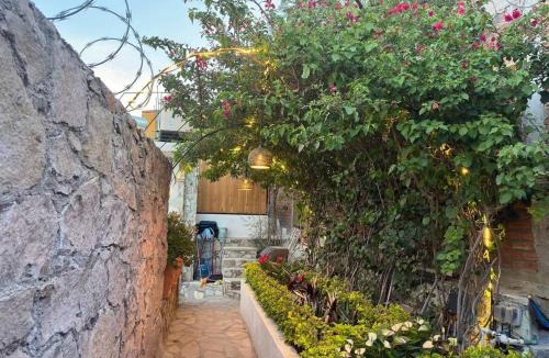 Zona Centro House | Casa del Alba - A Magical and Private Downtown Oasis!