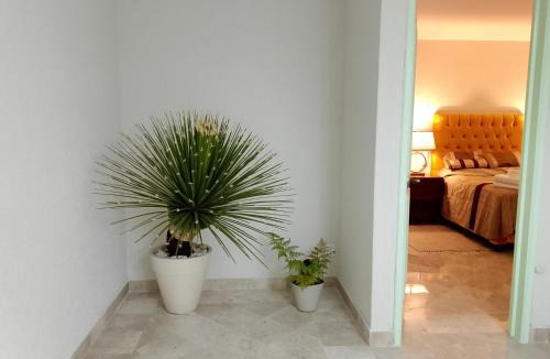 Jimenez House | Casa Esmeralda