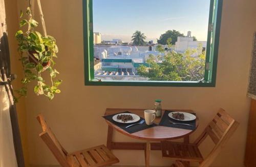 Zona Centro Apartment | Casa Galeria Campeche