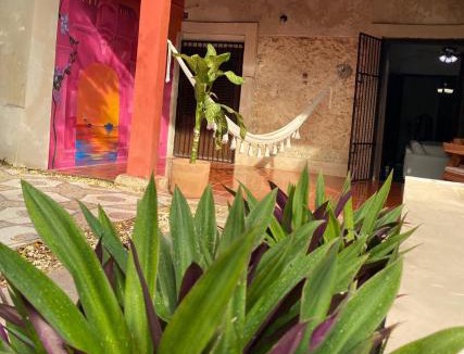 Campeche House | Casa Hortensia 213