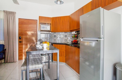 Colonia 5 de Diciembre Apartment | Casa Loro Azul PV Unit 4 NEW with Rooftop pool 1BD Studio for rent in 5 de Dicie