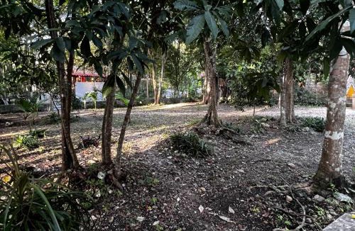 Xpujil House | Casa Manilkara