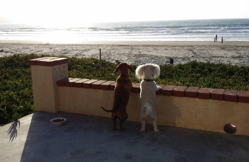 Lengueta Arenosa House | CASA MARBELLA 2BR 1BA Private Beach-Front Home