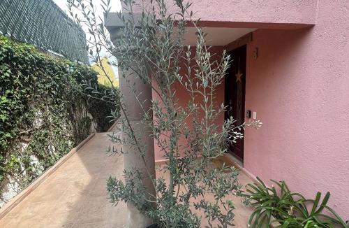 Centro House | Casa Olivo. Encantador lugar en Centro Tequis 6p