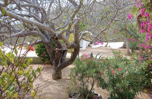Cabo Pulmo Villa | Casa Pájaros - Private 2-Story Home