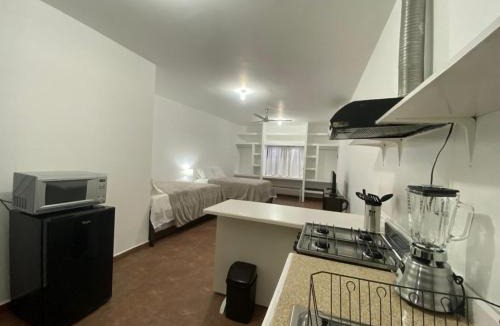 Zona Centro Apartment | CASA ROMEL