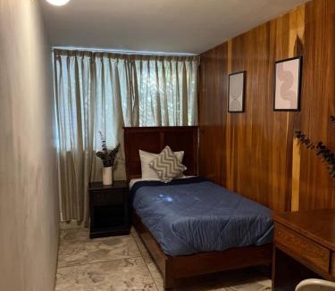 Colonia Cuauhtemoc House | Casa Tigris