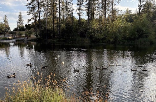 North Fork Other | Cedar Springs Retreats