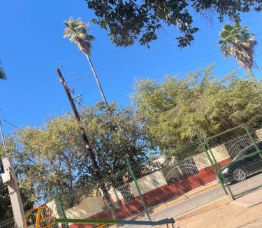 Jimenez Other | Cerru