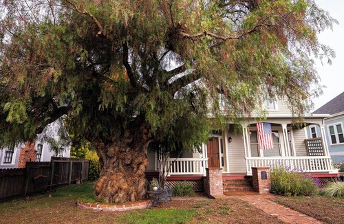 Petaluma House | Charming 1870 Farmhouse in the Heart of Petaluma