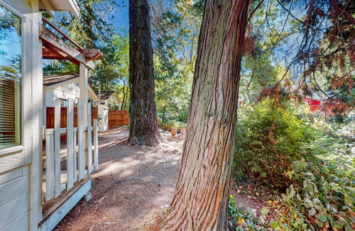 Cobb Apartment | Charming cabin with King Bed, WIFI situated along the natural spring.