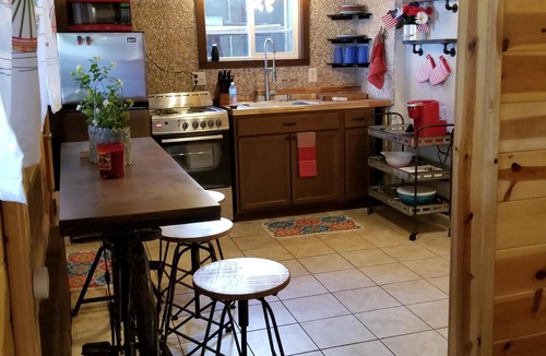 Peninsula Village Cabin | Charming Lakefront Studio Cabin w/Private Boat Launch & Slip Ideal for 2 Guests