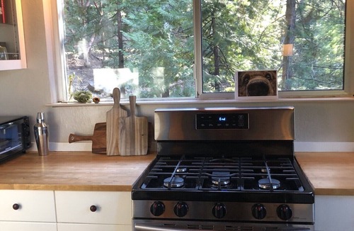 Glencoe Ski Chalet | Charming Pet-friendly Chalet-style Cabin Getaway —Lakemont lake access