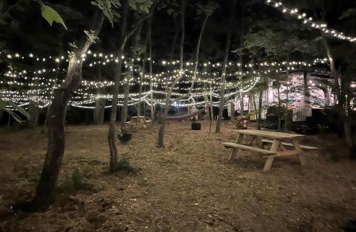 Franklin House | Charming Vintage Caravan Rental in Franklin, North Carolina for Mountain Glamping Escape