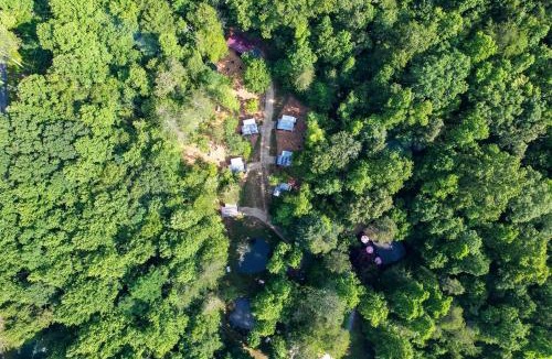 Franklin House | Charming Vintage Caravan Rental in Franklin, North Carolina for Mountain Glamping Escape