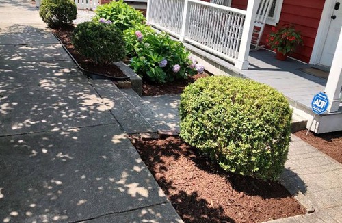 New Bern House | Charming, warm & tranquil historic downtown New Bern home