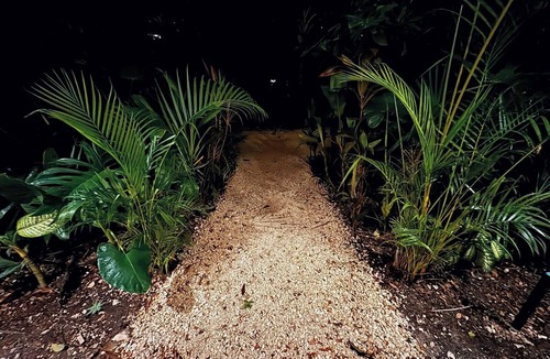 Tulum Apartment | Chic apartment with 4 pools, GYM in beautiful Tulum - close to beach & town