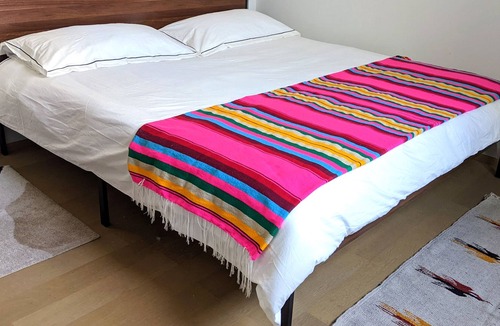 Roma Sur Apartment | Chic Condo with Private Rooftop in Heart of Mexico City