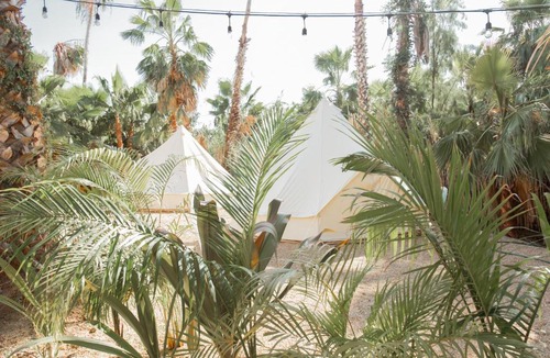 Todos Santos Other | Cien Palmas Tent 1