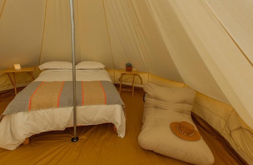 Todos Santos Other | Cien Palmas Tent 1