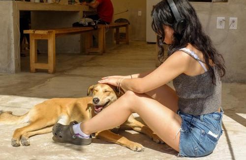 Centro Hotel | Coliving and Coworking