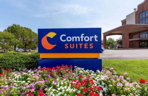 Fredericksburg Hotel | Comfort Suites Fredericksburg South