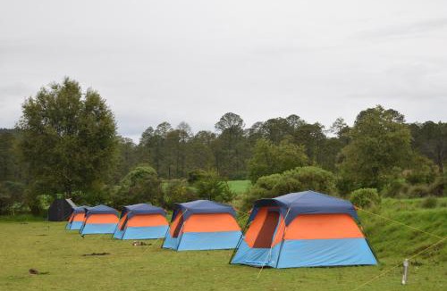 Nanacamilpa Other | COMPLEJO DE HOSPEDAJE EN BOSQUE ECO REINO AVENTURA