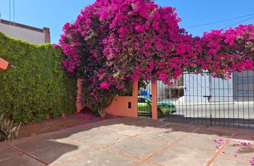 Morelia House | Confortables habitaciones en zona residencial de Vista Bella, Morelia Michoacan