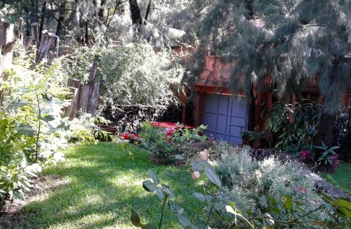 Jardines de Ahuatepec House | Contemporary beautiful home in Lush area