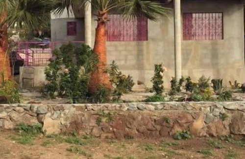 Alvaro Obregon House | Cozy retreat home 2min from Beach pet friendly