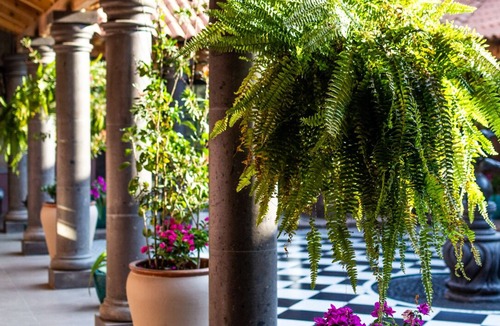 Jilotepec de Abasolo Villa | Cuarto boutique en hacienda cerca cdmx, qro