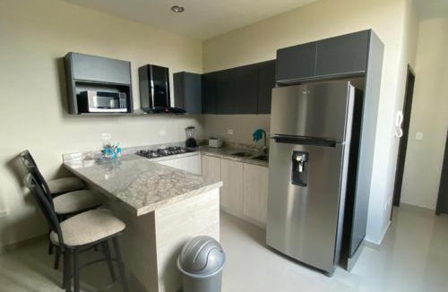 Las Gaviotas Apartment | Departamento en renta en Zona Dorada