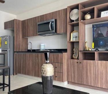 Torreon Apartment | Departamento frente al estadio TSM