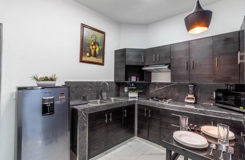 Zapotlanejo Apartment | Elegante Suite en el Centro de Zapotlanejo 204