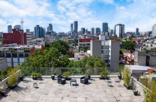 Colonia Cuauhtemoc Apartment | Embrace Today's Elegance: Capullo's Nowness Bathed in Roma Norte Sunlight.n