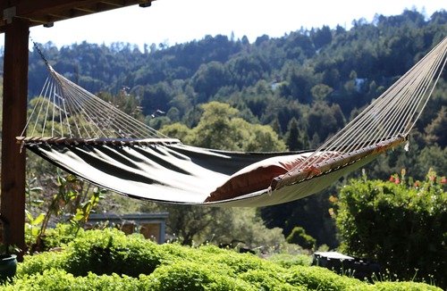 Mill Valley Apartment | Enchanted Waterfall Sanctuary