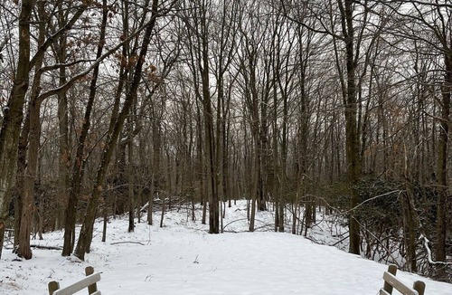 Long Pond Ski Chalet | Entire Cozy Pocono Chalet with fireplace, Firepit BBQ and games