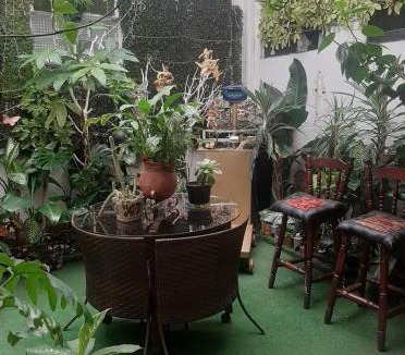 Roma Sur House | Estudio en Col Roma sur