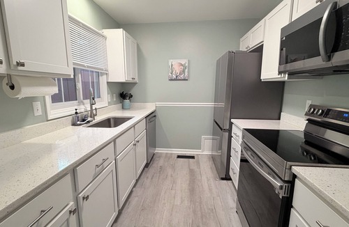 Fredericksburg House | Fredericksburg Spotsy Home 4 Beds 2 Bathrooms 1 Level House Fenced Yard