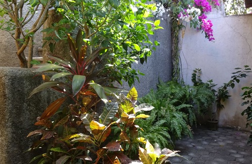 Ixtapa - Zihuatanejo Apartment | Furnished 1-bedroom apartment at El Tamarindo at Casa Calamondin