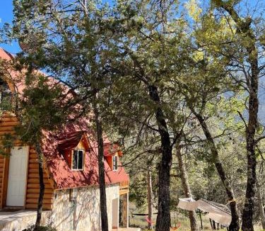 Arteaga Other | Glamping MORET Cabaña Alpina M2