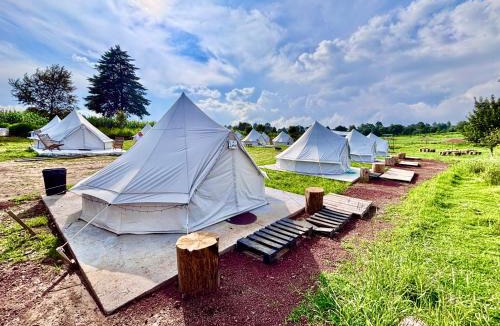 Nanacamilpa Other | Glamping Vive Tlaxcala - Santuario de las luciérnagas