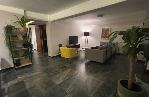 Del Carmen Apartment | Great apartment in the heart of Coyoacan
